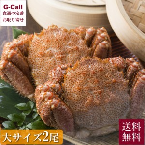 えりも食品 活蒸し毛蟹 大サイズ 2尾 計1kg 送料無料 蟹 毛蟹 カニ かに 毛ガニ 脚 剥き身 蟹みそ 蟹味噌 北海道 産地直送 お取り寄せ お