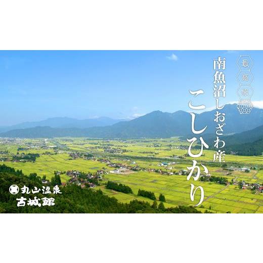 ふるさと納税 新潟県 南魚沼市 生産者限定  南魚沼しおざわ産コシヒカリ　玄米10kg