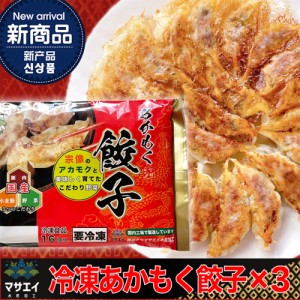 送料無料 玄界灘産・あかもく入り博多餃子 3個   惣菜 点心 ニンニク不使用 お取り寄せ 通販 お土産 お祝い プレゼント ギフト おすすめ