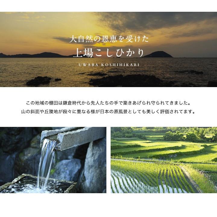 新米　令和5年　米 お米 5kg 送料無料 上場コシヒカリ 佐賀県産　令和5年度 5kg こしひかり