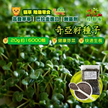 【綠藝家】J02-1.奇亞籽種子20克(約16000顆) 食用 芽菜 栽 芽菜種子 培育芽菜 食用 烘焙 泡水 超級食