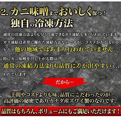 食の達人森源商店 姿ズワイガニ 高級カナダ産 ボイル済み 3kgセット(5〜6尾) カニ かに 蟹 味噌 グルメ