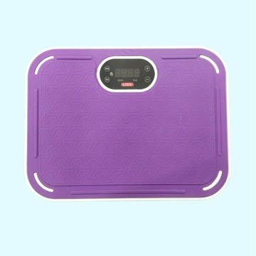 利懶人垂直律動甩脂機新款抖抖機瘦身健身震動律動機110V美規