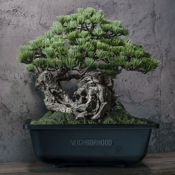 SRL X BANDAI SPIRITS BONSAI MODEL KIT