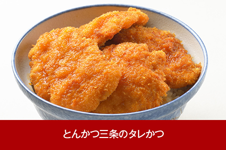 [新潟名物] とんかつ三条のタレかつ 16枚 たれかつ丼 4食分 