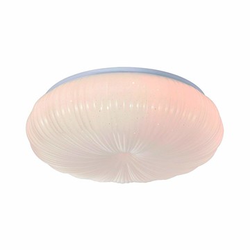 60W吸頂燈 I01-58-109-1