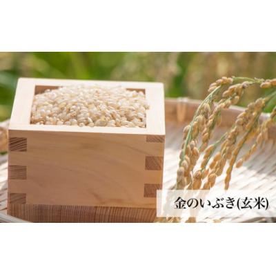 ふるさと納税 石巻市 令和5年産  玄米 宮城県産 ヨシ腐葉土米 金のいぶき 2.7kg(900g×3)