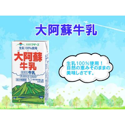 ふるさと納税 益城町 大阿蘇牛乳　250ml×24本