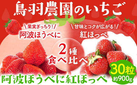 いちご 阿波ほうべに 紅ほっぺ 2種 食べ比べ セット 30粒 約900g 鳥羽農園《1月上旬-3月下旬頃発送予定》徳島県 上板町 苺 徳島県オリジナル品種 フルーティー 果物 フルーツ スイーツ 送料無料