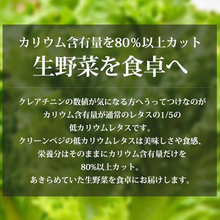 レタス クリーンベジの低カリウムレタス 6袋（約65g／1袋）