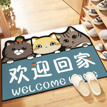 腳踏墊 貓砂墊 貓踏墊 浴墊 地毯 寵物睡墊 貓咪睡墊40*60cm寵物墊 腳踏墊