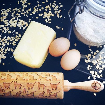 小貓擀麵杖* CATS