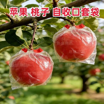 ⚡️本島直出⚽️橡皮筋自動收口套袋蘋果梨子快速專用膜袋水果防蟲自動扣鬆緊塑料
