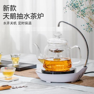 迷你電陶爐煮茶器小型全自動上水茶具套裝鑄鐵燒水壺帶抽水電磁爐