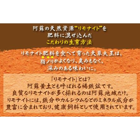 ふるさと納税 希少！くまもと地鶏　天草大王　もも肉　1kg 熊本県阿蘇市