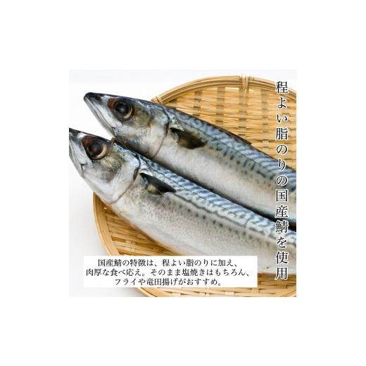 ふるさと納税 石川県 小松市 国産鯖の切り身(甘塩)　10切