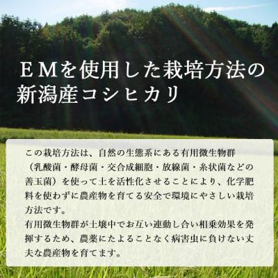 ふるさと納税 新潟県 新潟産コシヒカリ 有機栽培米10kg 有機JAS認証令和5年産