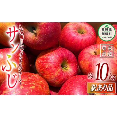 ふるさと納税 りんご サンふじ 訳あり 10kg 大垣農園 沖縄県への配送不可 2023年11月下旬頃から2023年12月下旬頃まで順次発送予定 令和5年度収穫.. 長野県飯綱町