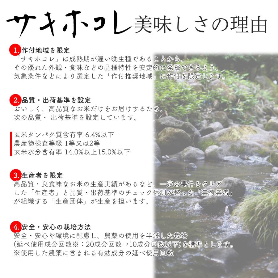 新米 米 お米 5kg 秋田県産 サキホコレ 白米 5キロ 令和5年産 5kg*1袋 精米 (5kg)