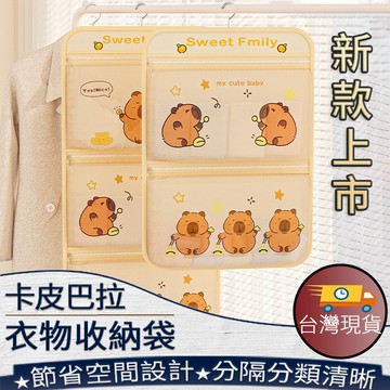 ❤️台灣現貨【新款卡皮巴拉衣物收納袋】懸掛收納袋 多層收納 收納神器 衣櫃收納 宿舍必備 內衣褲收納 襪子收納 275