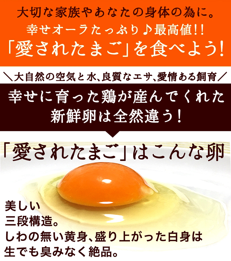 卵 有精卵 〔生卵160個入(生卵128個 破損保証32個)〕  玉子 たまご 高級 卵かけご飯 平飼い 送別会 卒業