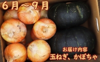 定期便 6回 常備野菜 セット 約5kg 詰め合わせ   吉岡青果   雲仙市[item0754]