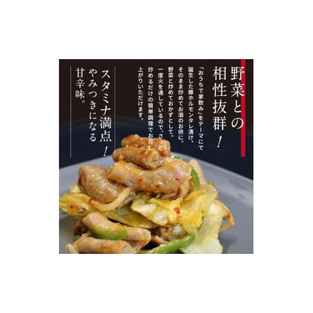 ふるさと納税 国産豚ホルモンタレ漬け1kg（500g×2パック）＜高知市共通返礼品＞ 高知県芸西村