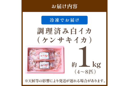 イカ・イカ焼き用「真空冷凍」／BBQに最適！ 白イカ（ケンサキイカ） 調理済み 正味1K入り（4～8匹） ※小分け真空包装 イカ焼き・イカのツボ抜き