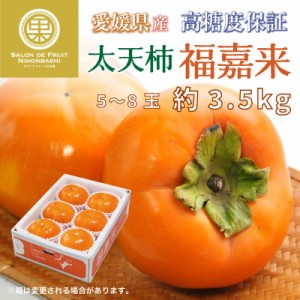 [予約 12月1日-12月20日の納品] 太天柿 福嘉来 約 3.5kg 5-8玉 ふくがき 化粧箱 愛媛県産 甘柿 化粧箱 柿 冬ギフト お歳暮 御歳暮