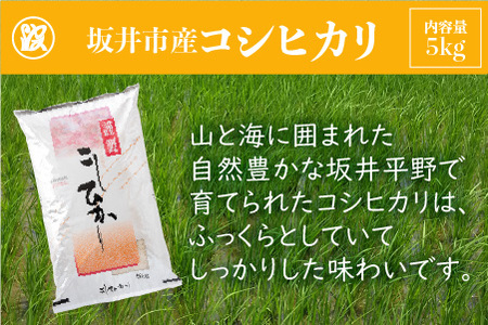 坂井市産コシヒカリ 5kg と 塩うに 35g 曲物入り  [B-1706]