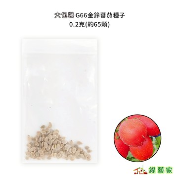 大包裝.金鈴蕃茄種子0.2克(約65顆) 大葉濃綠 果實卵型 果肉鮮紅甜美 產量豐 適合沙拉【綠藝家00G66】