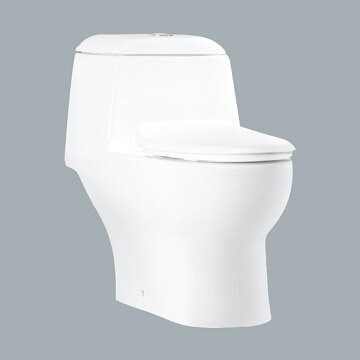 HCG麗佳多單體二段式馬桶30-40cm/C899GMUT