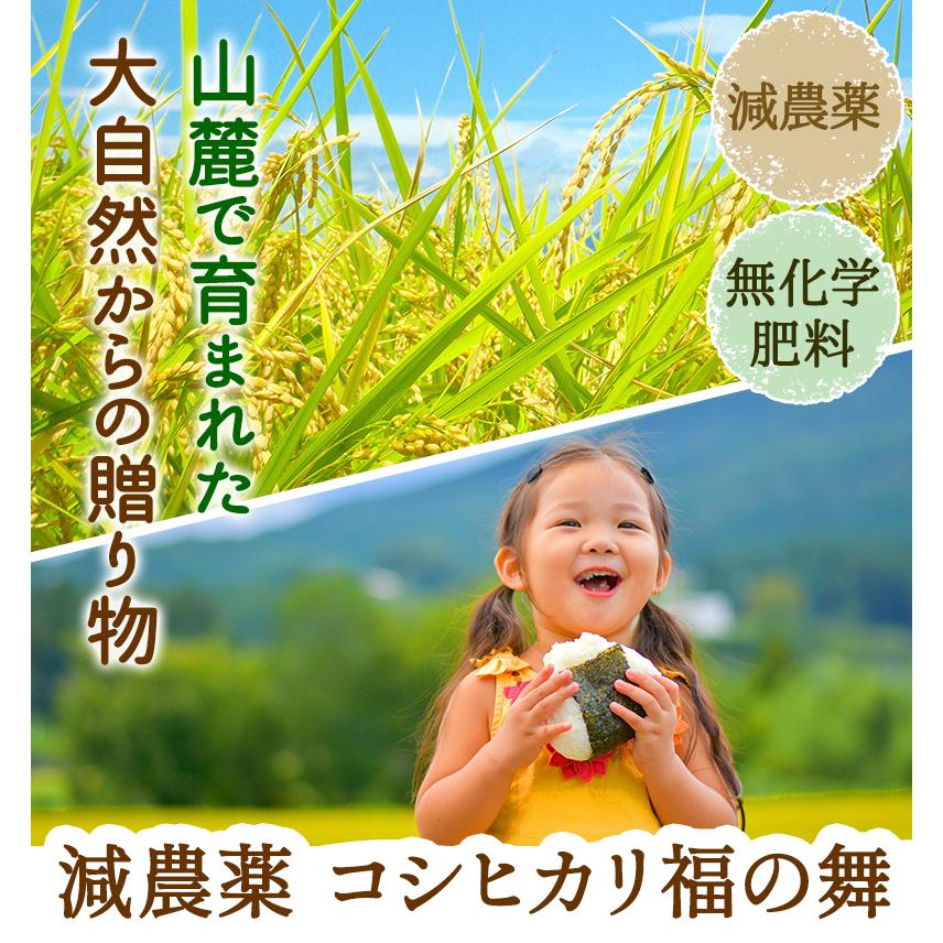 新米入荷 減農薬・無化学肥料栽培 コシヒカリ「福の舞」3kg 送料無料 令和5年福井県産