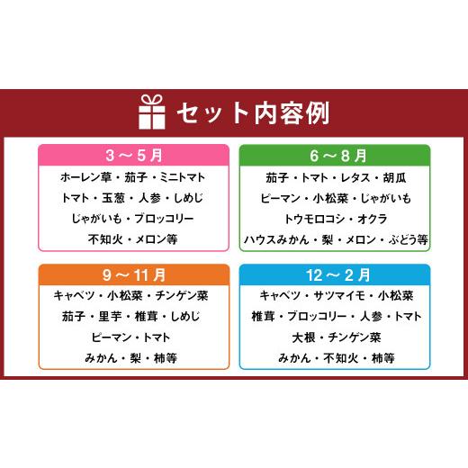 ふるさと納税 熊本県 熊本県産 肥後の国 旬の野菜と果物の詰め合わせ セット