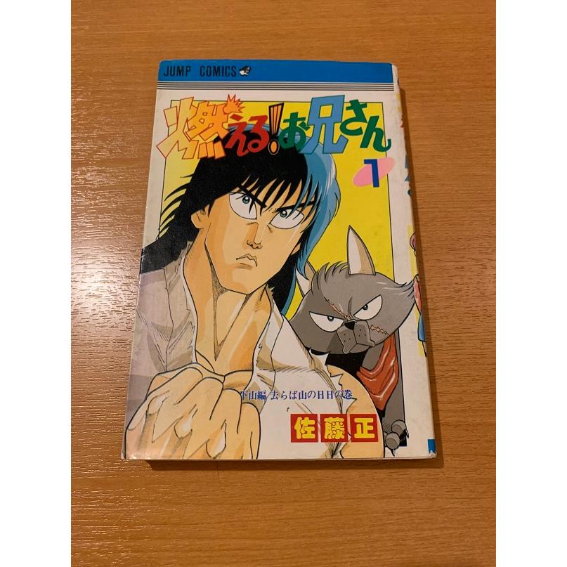 燃える！お兄さん　全19巻　佐藤正