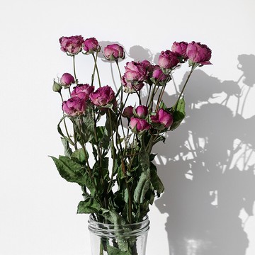 【星樂良品】天然淺粉玫瑰干花自然風干花束薔薇花小清新家居擺件1入