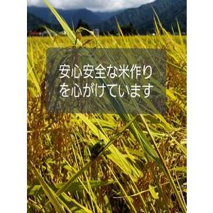 ふるさと納税 南魚沼産コシヒカリ　白米１０ｋｇ 新潟県南魚沼市