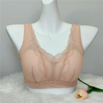 (免運)身態 石墨烯 養護內衣 蕾絲款 無鋼圈聚攏女士 專柜正品 8805