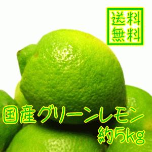 国産(和歌山有田産)グリーンレモン 約５ｋｇ(ノーワックス)(防腐剤不使用)(減農薬)