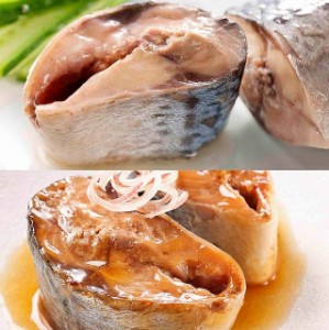 日本のさば　水煮缶＆味付缶　各６缶　計12缶