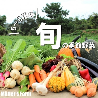 季節の野菜詰め合わせ(5～6種)