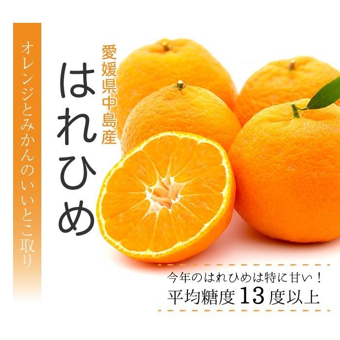 お歳暮 みかん はれひめ 赤秀 2L〜2Sサイズ 2.5kg みきゃん箱入り 愛媛県産 JAえひめ中央 中島選果場 ミカン 蜜柑