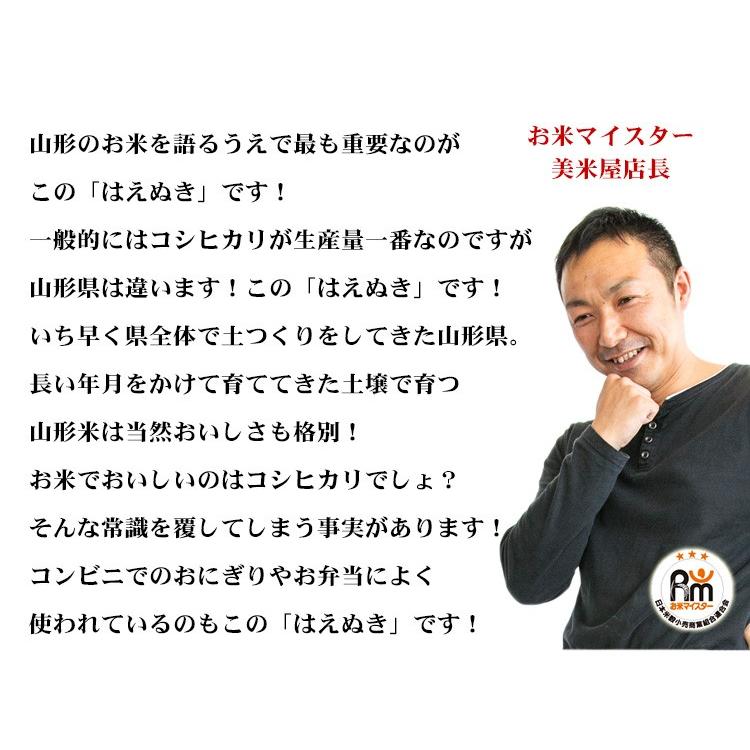 新米 お米 20kg 送料無料 白米 はえぬき 5kg×4袋 山形県産 令和5年産 お米 20キロ 食品 北海道・沖縄は追加送料 お得