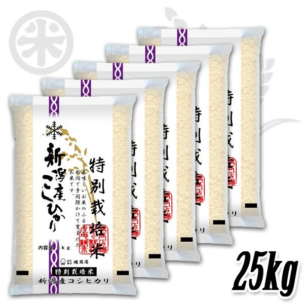 [新米 令和5年産] 新潟産コシヒカリ 特別栽培米 25kg (5kg×5袋) 減農薬 減化学肥料 新潟米 こしひかり お米 白米 送料無料 ギフト対応