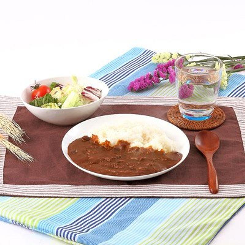 料理旅館のまかないから生まれた 味噌カレー１０箱セット