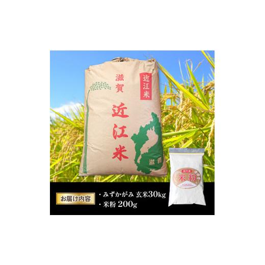 ふるさと納税 滋賀県 竜王町 令和5年産 みずかがみ 玄米 30kg 近江米 新米 米粉 200g付