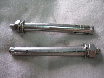 【 麗室衛浴】不銹鋼壁虎，長度11.8cm 抗衝擊、耐腐蝕10支170元