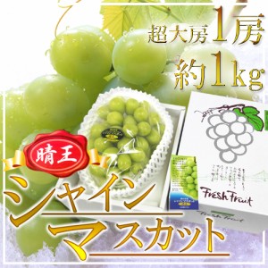 岡山産 ”シャインマスカット「晴王」” 超大房 1房 約1kg 化粧箱 ぶどう 送料無料