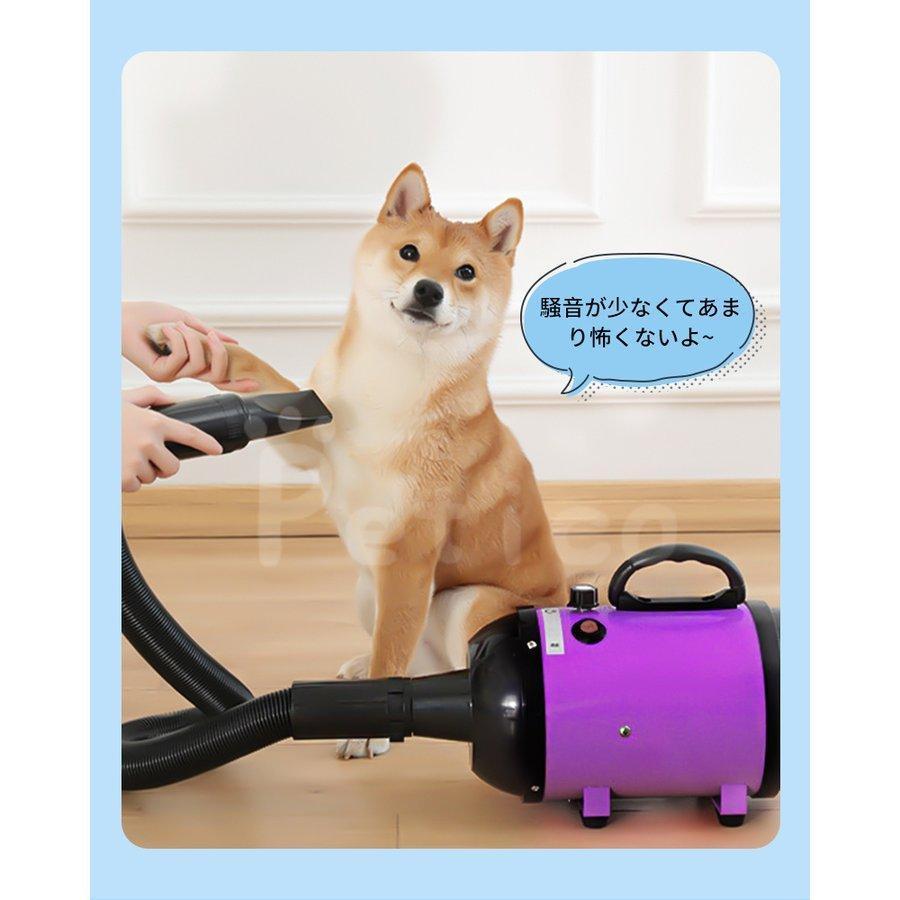 PSE適合品 犬 ドライヤー 強風 速乾 ペットドライヤー 業務用 100V 