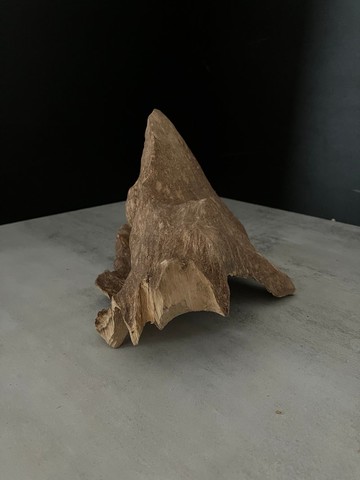 【日常款】野生加里曼丹沉香擺件 BK16(209g)